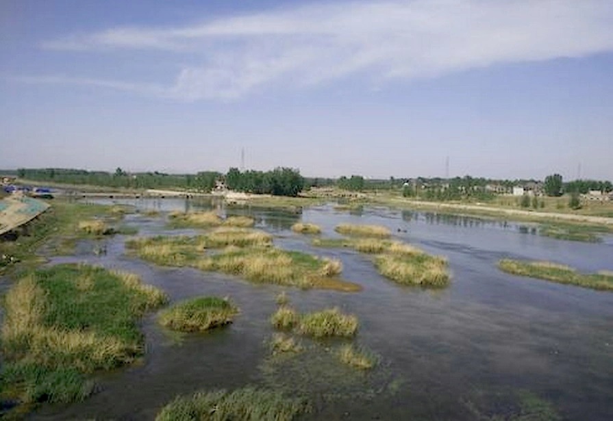 建议开展守护泗河活动